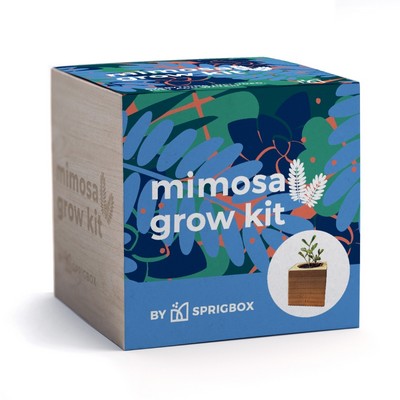 Mimosa Grow Kit | Solid Wood Planter Cube | Eco-Friendly