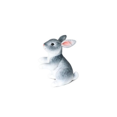 Grey Rabbit