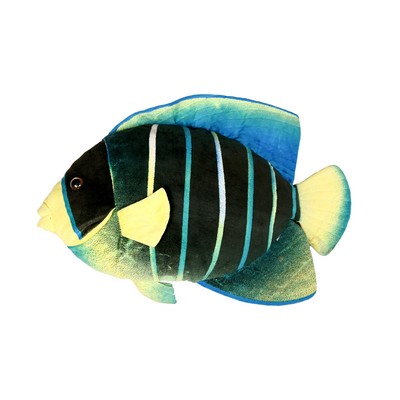 Black striped Angel Fish