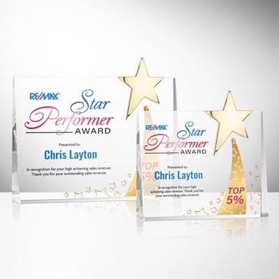 Bradenton Gold Star VividPrint™ Award