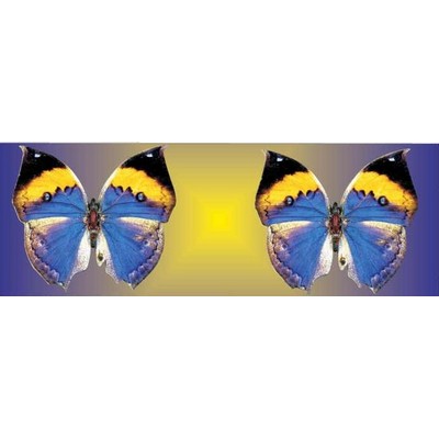 Black & Blue Butterfly Panoramic Metal Photo Magnet