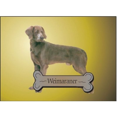 Weimaraner Dog Rectangle Metal Photo Magnet (2"x3")