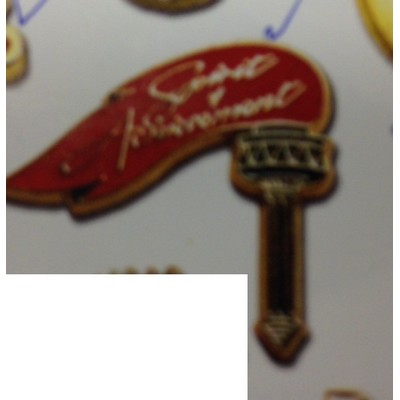 Stock Spirit of Achievement Torch Lapel Pins