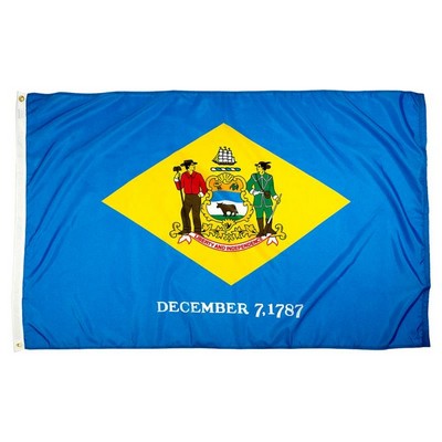 Delaware Indoor Parade Flag w/Fringe (5'x8')