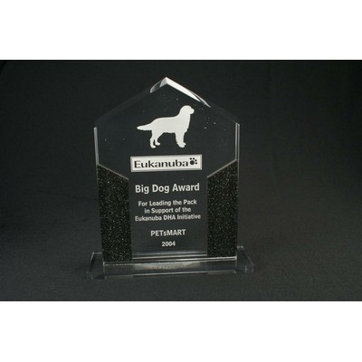 Acrylic Accent Line Award (6"x8"x1")