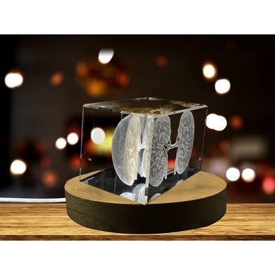 Kidneys 3D Engraved Crystal Trophy Award w/LED Base - Recognition Gift for Doctors