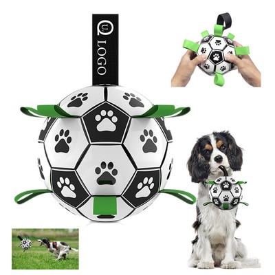 Indoor-Outdoor Interactive Dog Toys Balls
