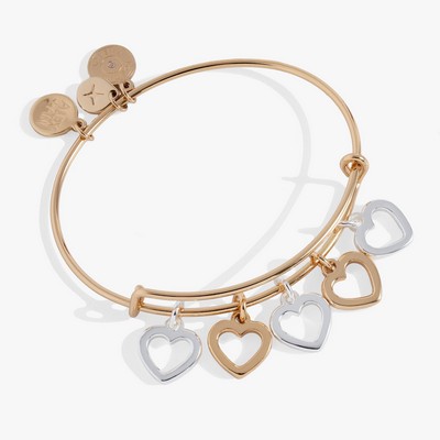 Alex and Ani® Hearts Multi Charm Bangle