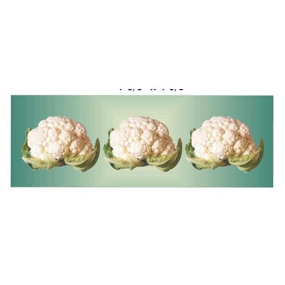 Cauliflower Panoramic Badge w/ Bar Pin