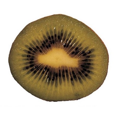 Kiwi Lapel Pin