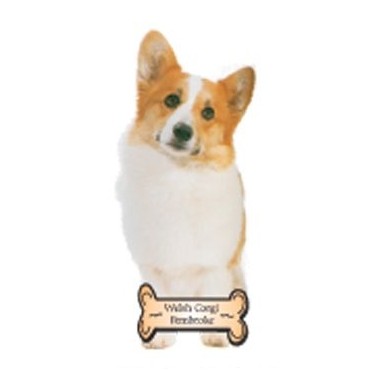 Welsh Corgi Dog Executive Magnet w/ Full Magnetic Back (10 Square Inch)