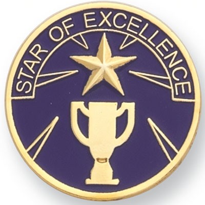 1" Star Of Excellence Pin
