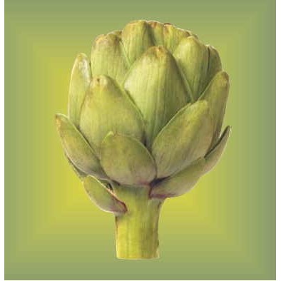 Artichoke Metal Photo Magnet (2 1/2"x2 1/2")