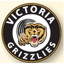 Full Color Stock Domes & Shapes (1½")