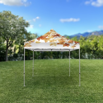 Tenda Aluminum 10' Canopy Tent