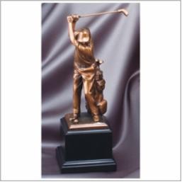 11" Best Male Driver Golf Award