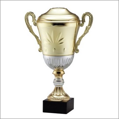 Cup Award, 13 1/4"H