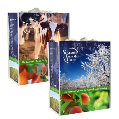 145g Full-Color Laminated Woven Custom Grocery Bag (14"x17"x8")