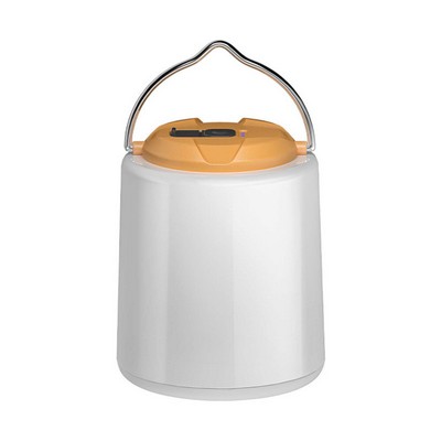 Suspended Lighting Fixture