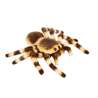 Tarantula