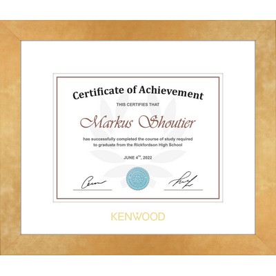 Studio - Diploma / Certificate Frame (Gold)