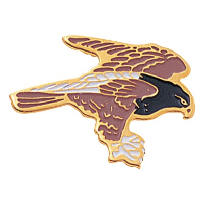 Etched Enameled Mascot Hawk Pin