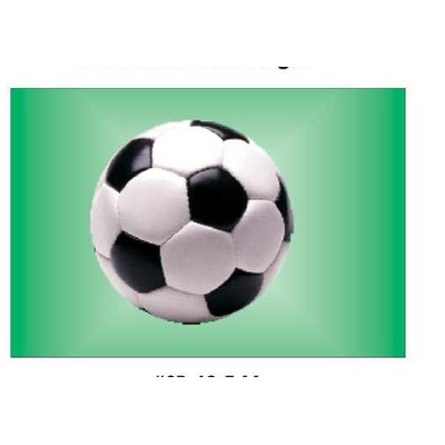 Soccer Ball Metal Rectangle Photo Magnet (2"x3")