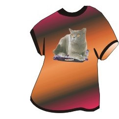 Chartreux Cat T-Shirt Lapel Pin