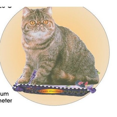 Exotic Shorthair Cat Acrylic Coaster w/Felt Back