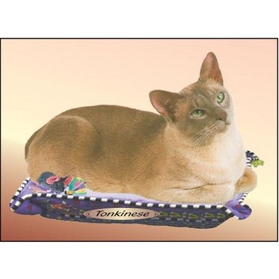 Tonkinese Cat Rectangle Badge w/ Bar Pin (2"x3")