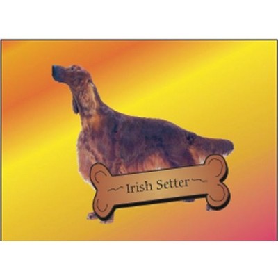 Irish Setter Dog Rectangle Badge w/ Bar Pin (2"x3")