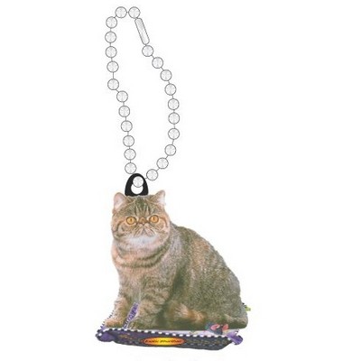 Exotic Shorthair Cat Promotional Key Chain w/ Black Back (10 Square Inch)
