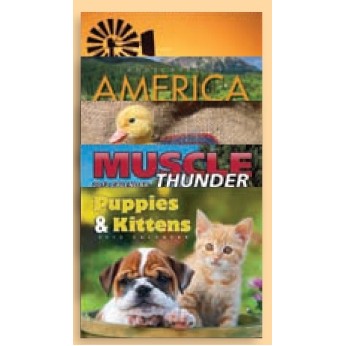 13 Month Spiral Bound Wall Calendar (The Power of Nature)