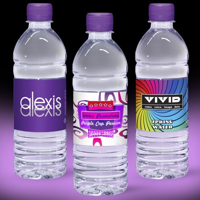 16.9 Oz. Custom Label Spring Water w/Purple Flat Cap - Clear Bottle