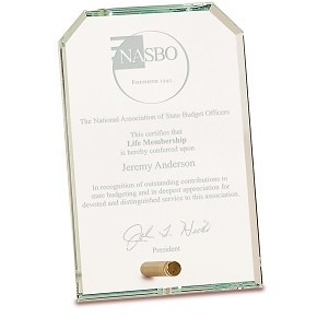 Elegant Clipped Corner Rectangle Glass Award