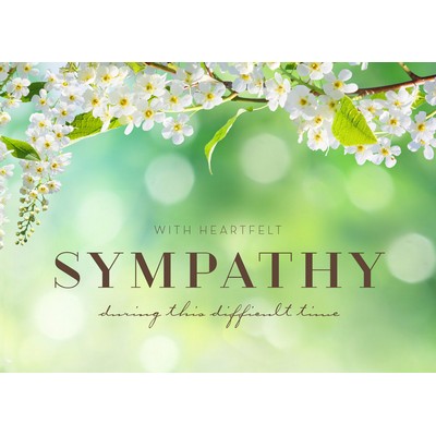 Spring Blosoms Sympathy Greeting Cards