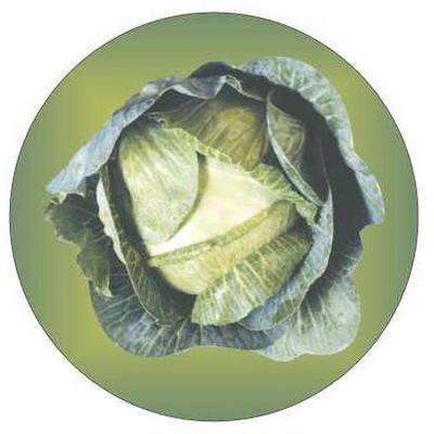 Cabbage Round Metal Photo Magnet (2 1/2")