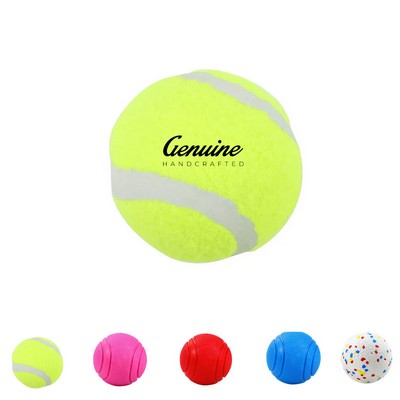 Squeaky Rubber Pet Play Ball
