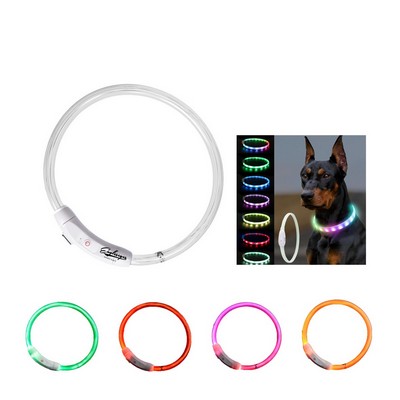 LED Safety Dog Collar