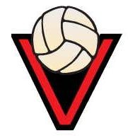 Volleyball in "V" Mighty Mini Magnet