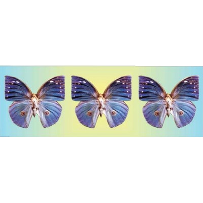 Blue Butterfly Panoramic Metal Photo Magnet