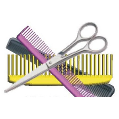 Beautician Combo Maxi Magnet (12 Square Inch)
