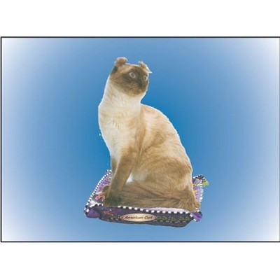 American Curl Cat Rectangle Metal Photo Magnet (2"x3")