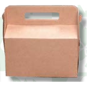 Folding Carton w/ Handle (7 3/4"x4 3/4"x4 3/4")