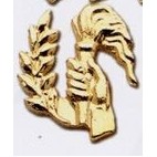 Stock Sports Lapel Pins (Torch and Hand)