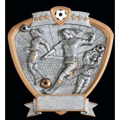 Female Soccer Signature Shield Award