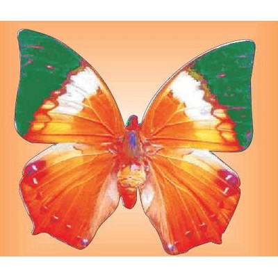 Orange & Green Butterfly Metal Photo Magnet (2 1/2"x2 1/2")