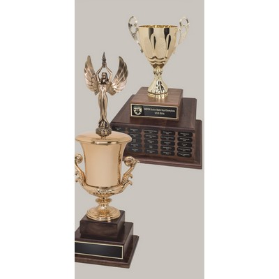 Custom Trophy