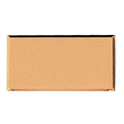 Gold Embossed Brass Plate w/Beveled Borders (1½" x 3")