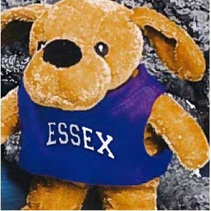 8" Team Thrifty™ Stuffed Brown Puppy